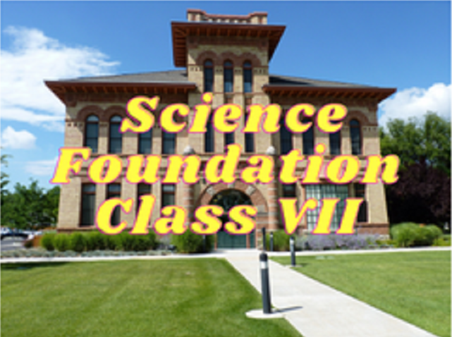 Science (Foundation) - Class VII